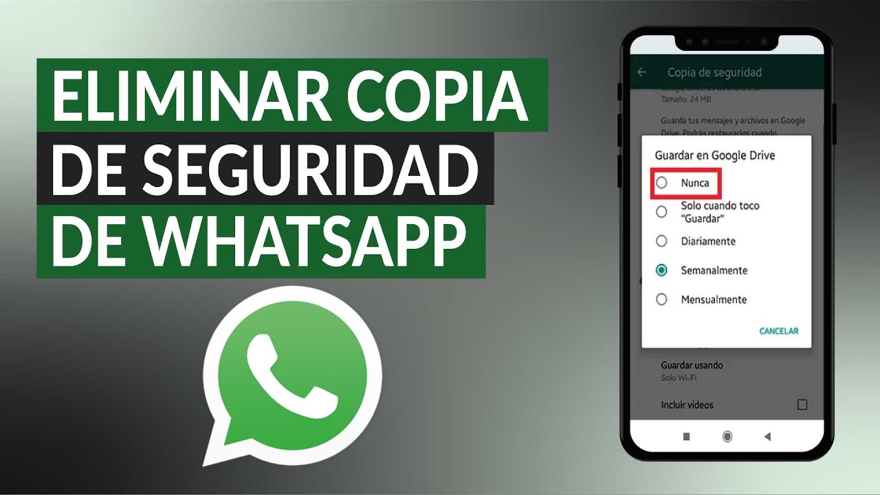 ¿Cómo quito la copia de seguridad?