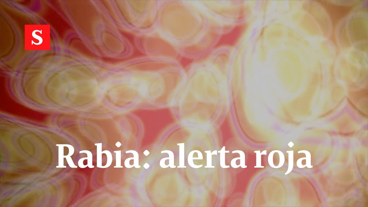 ¿Cuánto tiempo puede durar la rabia sin dar síntomas?